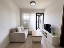 Normanton Park (D5), Apartment #583920661